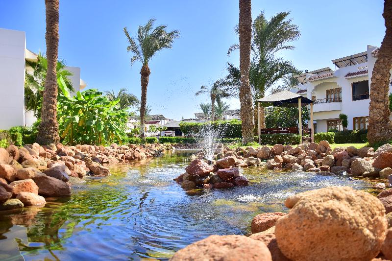 Dive Inn Resort - Genel