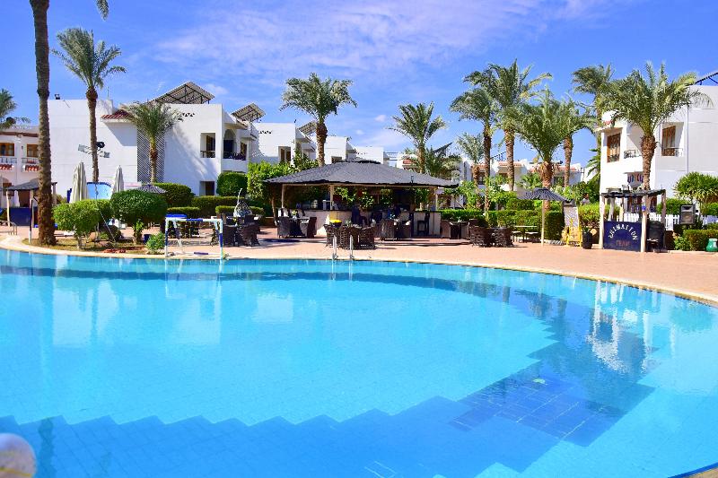 Dive Inn Resort - Havuz