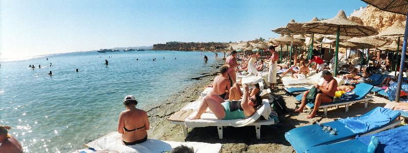 Dive Inn Resort - Plaj