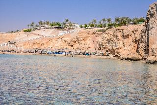 Dive Inn Resort fotoÄŸrafÄ±