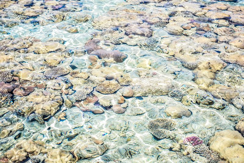 Dive Inn Resort - Plaj