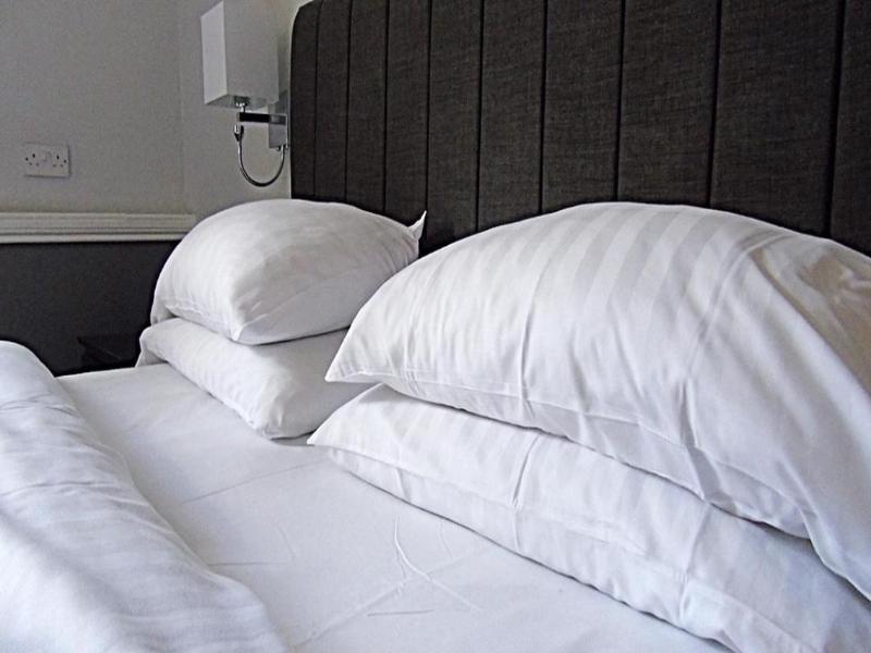 The Lion Hotel - Genel