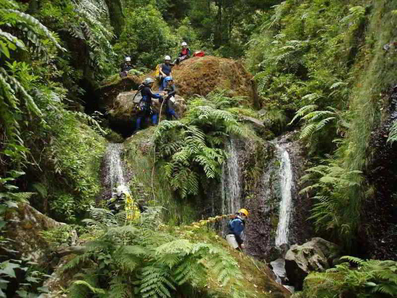 Aqua Natura Madeira Hotel fotoÄŸrafÄ±