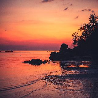 Anantara Layan Phuket Resort fotoÄŸrafÄ±