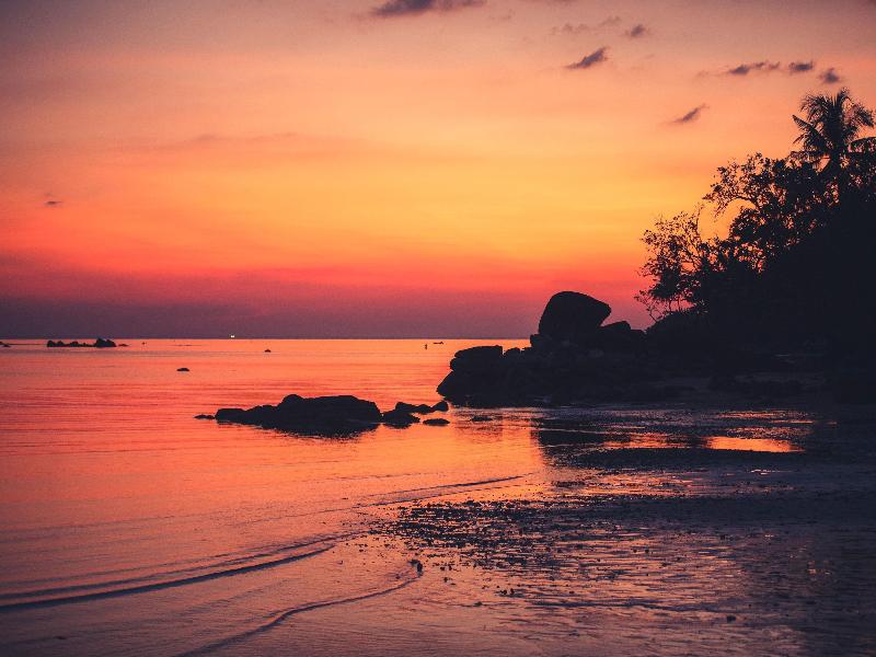 Anantara Layan Phuket Resort - Genel