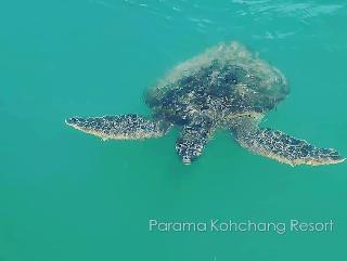 Parama Koh Chang Resort fotoÄŸrafÄ±