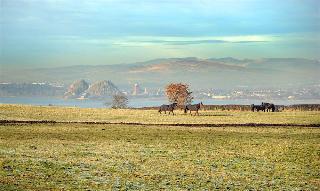 Ingliston Country Club Hotel fotoÄŸrafÄ±