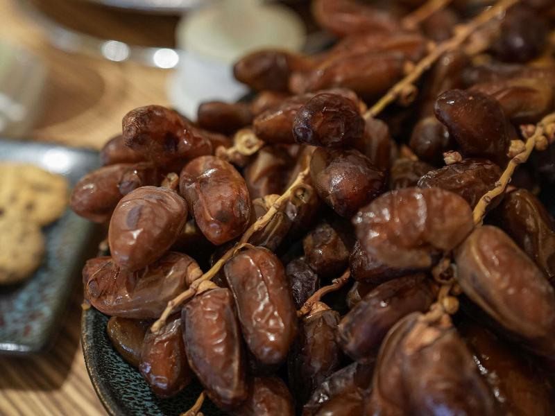 Novotel Tunis - Toplantı