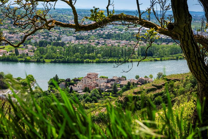 Le Beau Rivage - Genel