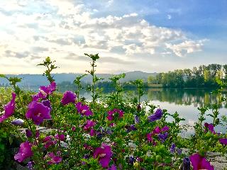 Le Beau Rivage fotoÄŸrafÄ±