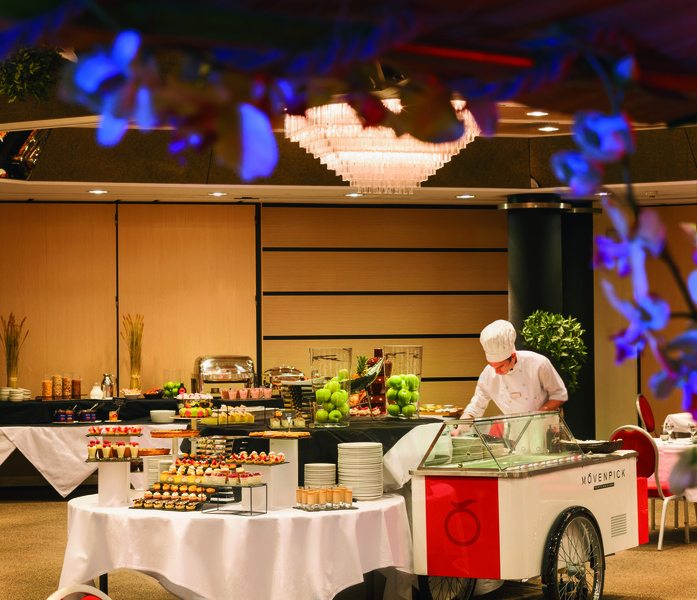 Movenpick Hotel Lausanne - Toplantı