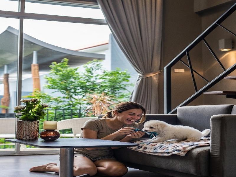Paeva Luxury Serviced Residence SHA by ZUZU - Oda