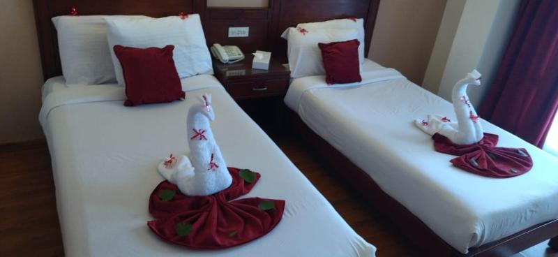 Amoun Hotel Alexandria - Oda