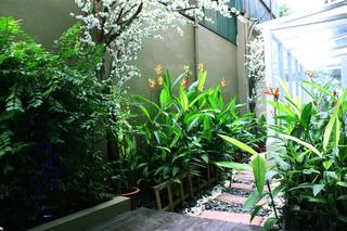 Klassique Sukhumvit fotoÄŸrafÄ±