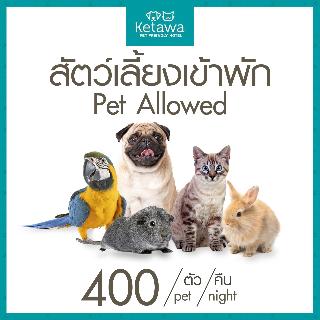 Ketawa Pet Friendly Hotel otel fotoğrafı