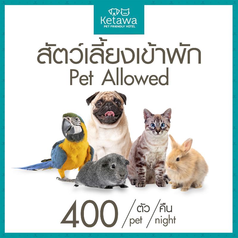 Ketawa Pet Friendly Hotel - Genel