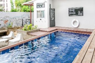 Ketawa Pet Friendly Hotel fotoÄŸrafÄ±