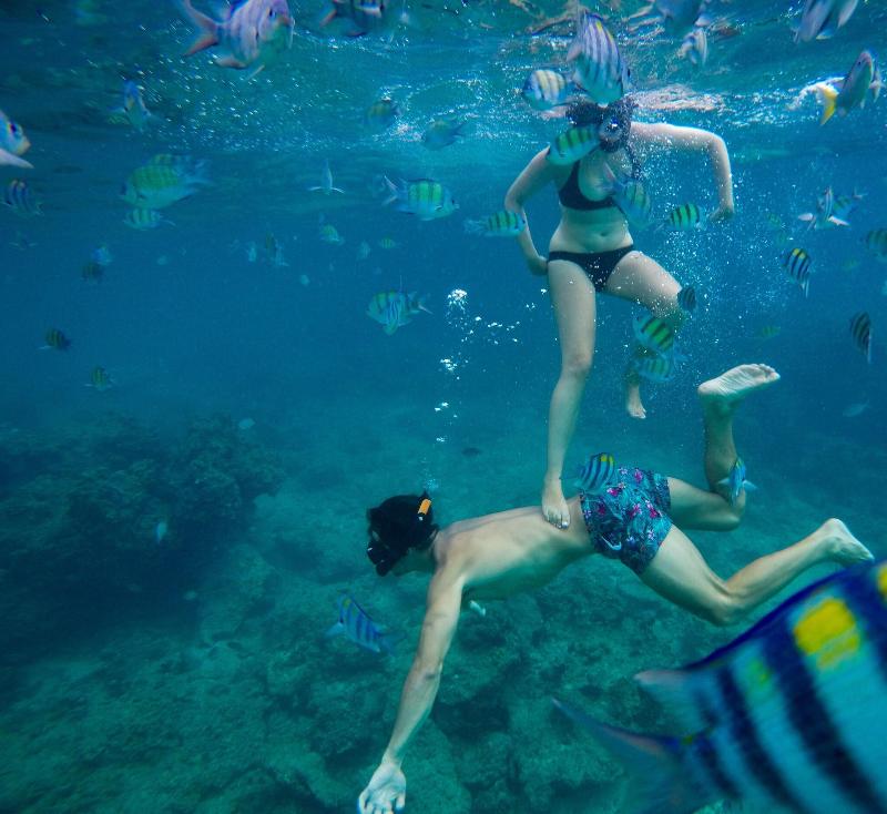 Phi Phi Relax Beach Resort - Aktivite