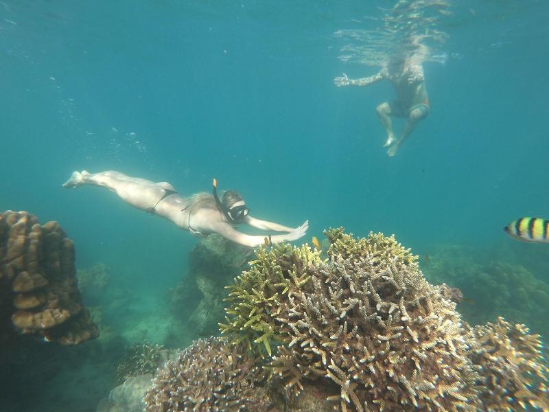 Phi Phi Relax Beach Resort - Aktivite