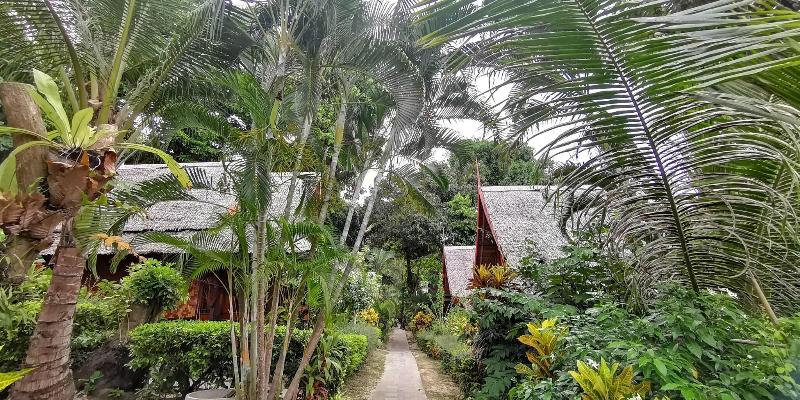 Phi Phi Relax Beach Resort - Oda