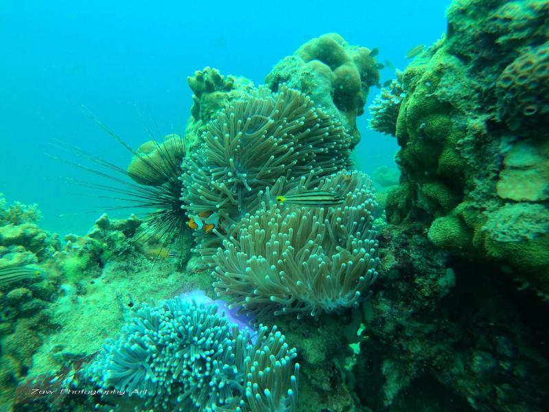 Phi Phi Relax Beach Resort - Plaj