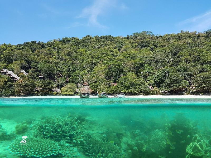 Phi Phi Relax Beach Resort - Plaj