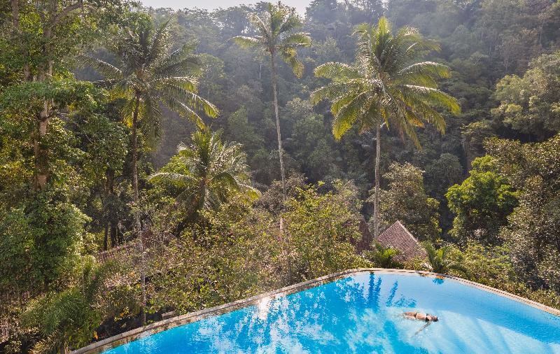 Ayung Resort Ubud - Havuz
