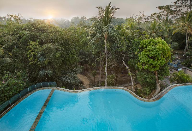 Ayung Resort Ubud - Havuz