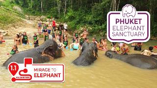 Mirage Express Patong Phuket Hotel fotoÄŸrafÄ±