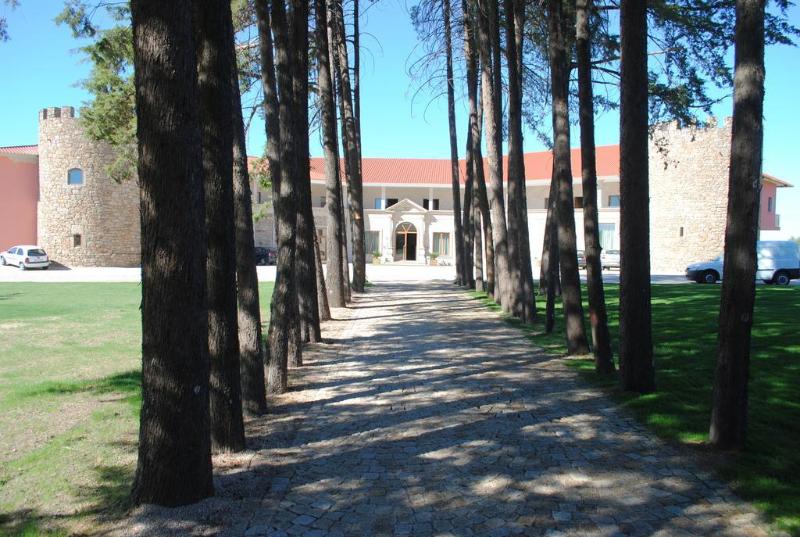 Palace Hotel & Spa Termas de Sao Tiago - Genel