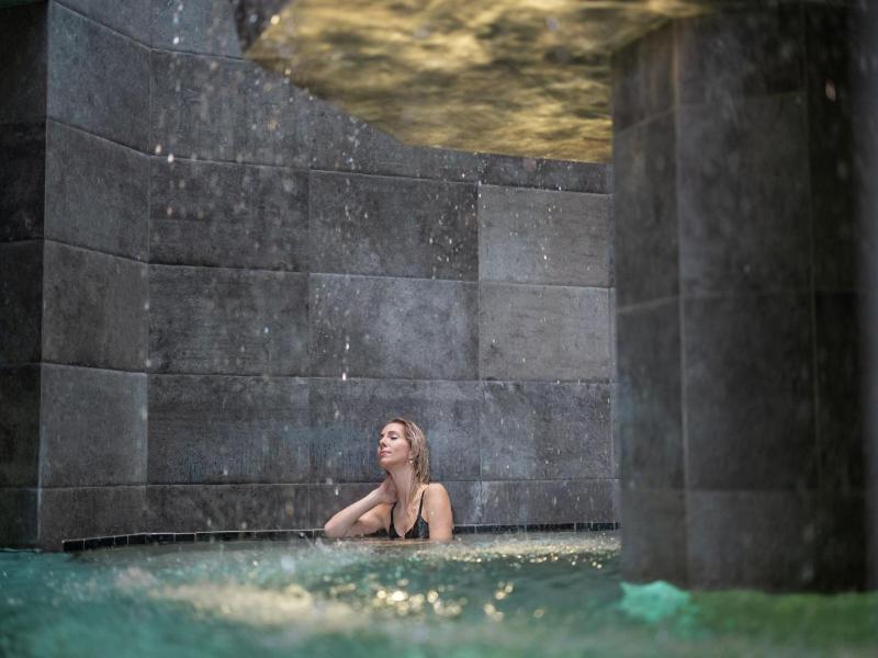 Therme Laa - Hotel & Silent Spa - Genel