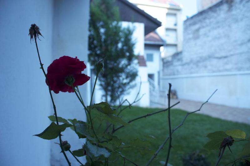 Garden House - Genel