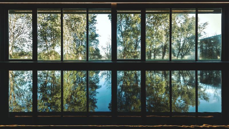 Douro Palace - Aktivite