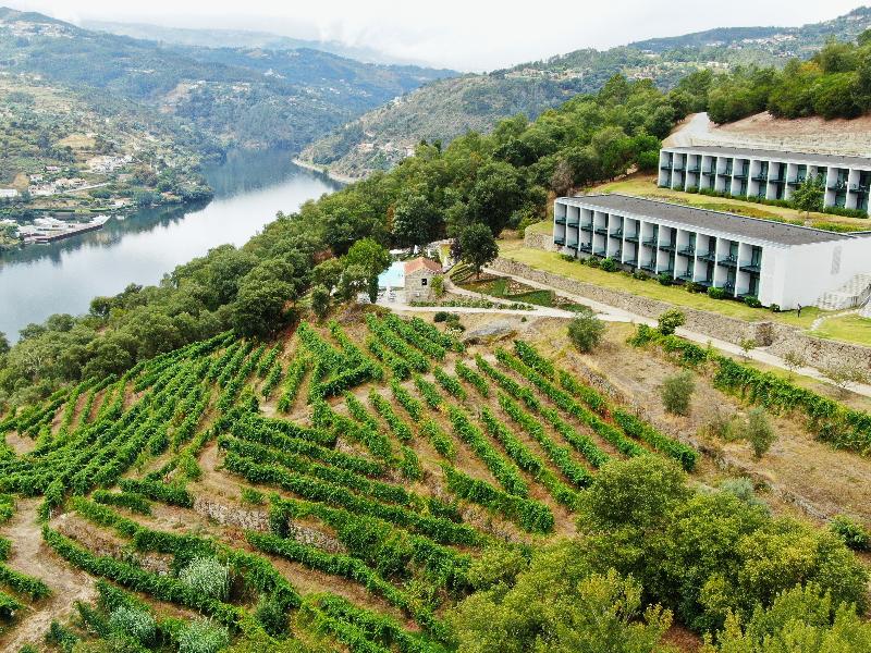 Douro Palace - Genel
