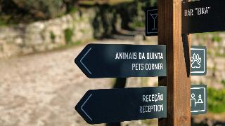 Douro Palace fotoÄŸrafÄ±