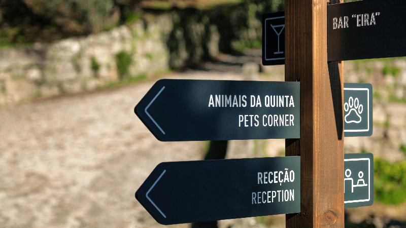 Douro Palace - Genel