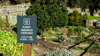 Douro Palace fotoÄŸrafÄ±
