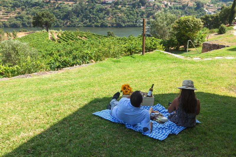 Douro Palace - Genel