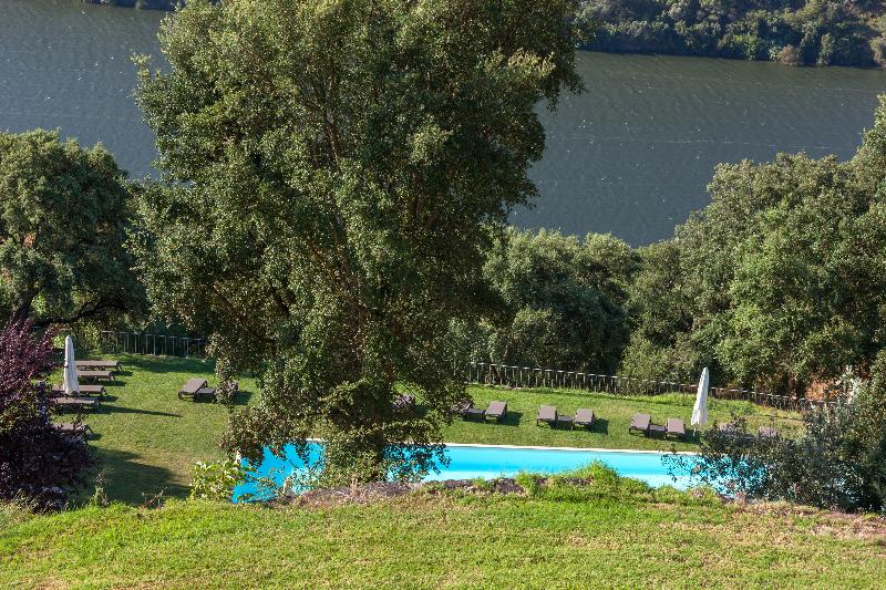 Douro Palace - Havuz