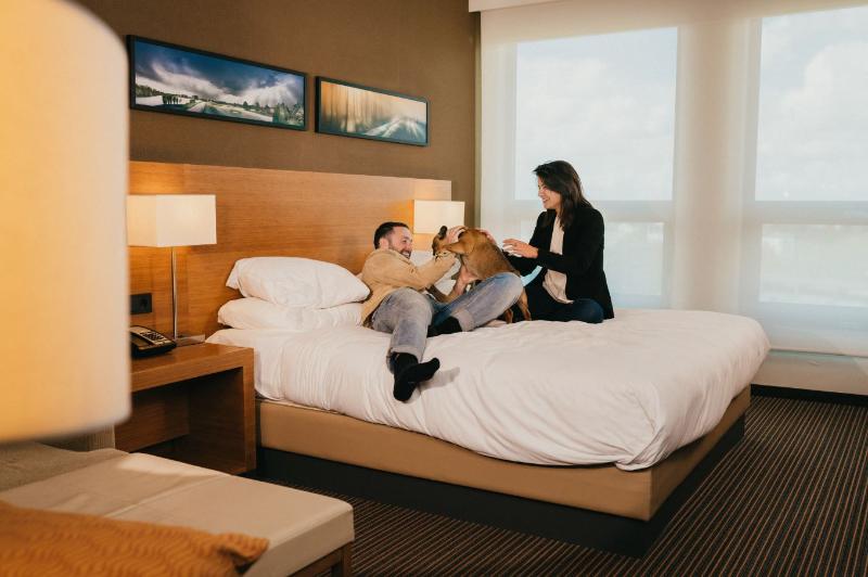 Hyatt Place Amsterdam Airport - Oda