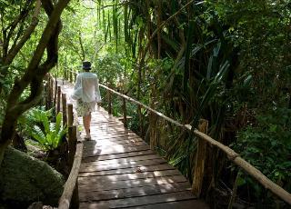 Tanote Villa Hill Koh Tao fotoÄŸrafÄ±