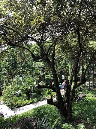 Tanote Villa Hill Koh Tao fotoÄŸrafÄ±
