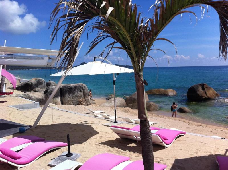 Beluga Boutique Hotel - Genel