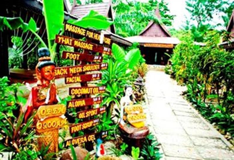 Paradise Pearl Bungalow - Aktivite