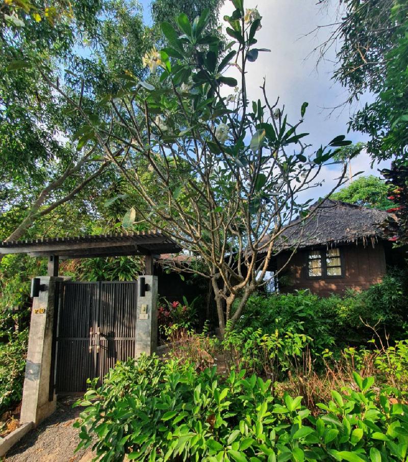 Sea Garden Resort Haad Chao Phao - Oda
