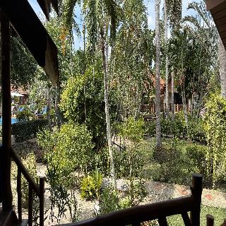 Morning Star Resort fotoÄŸrafÄ±