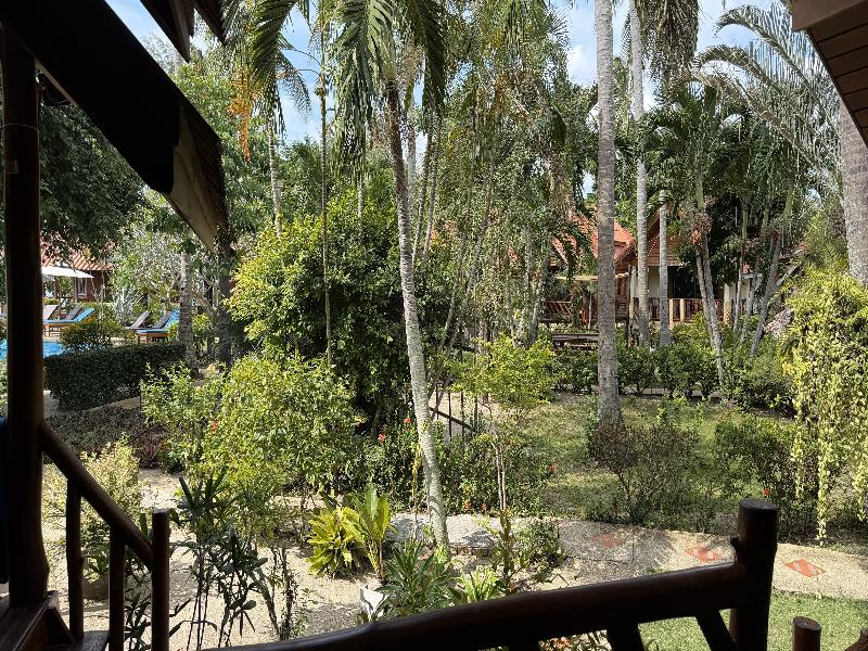 Morning Star Resort - Oda