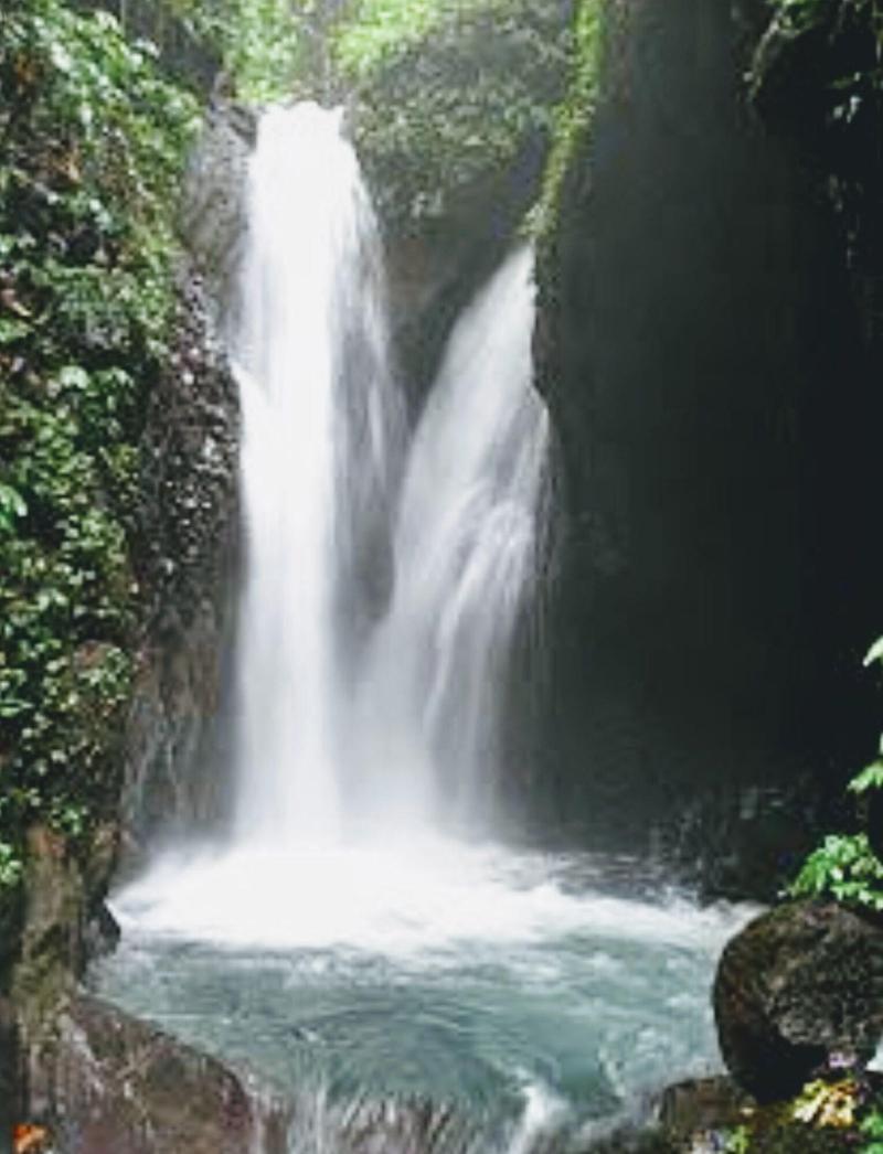 Bali Paradise Hotel Boutique Resort - Genel