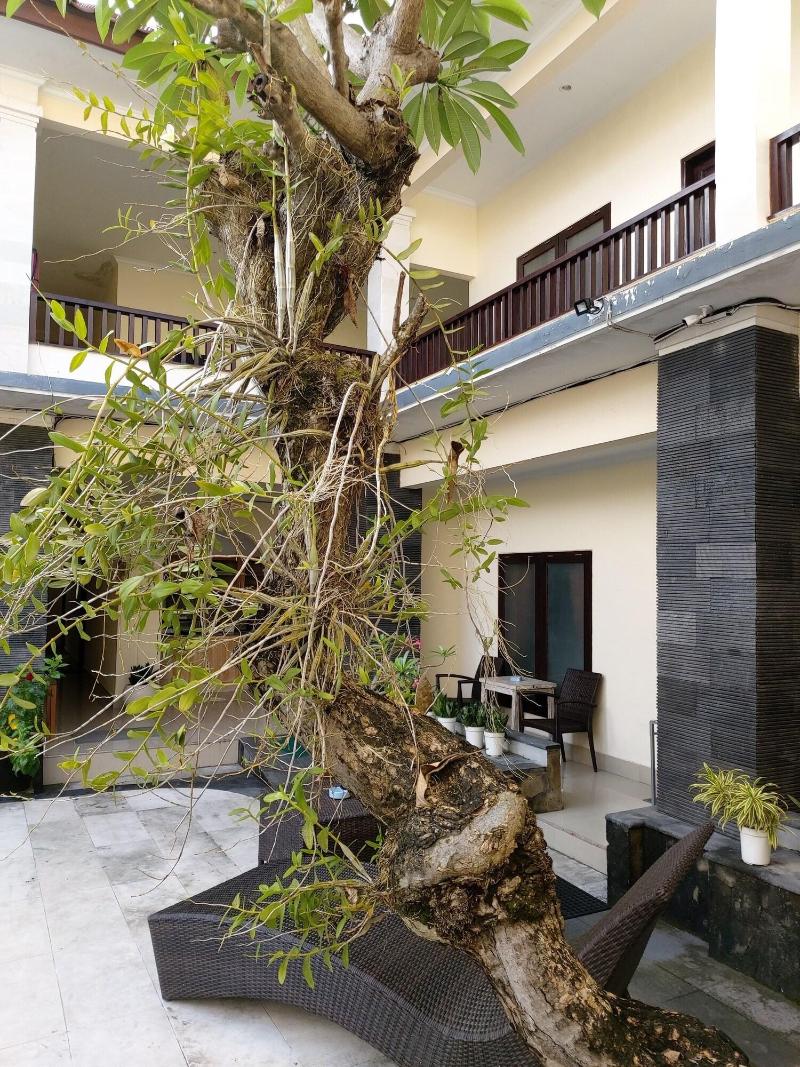 Radha Bali Hotel - Genel