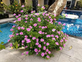 Radha Bali Hotel fotoÄŸrafÄ±